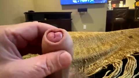 happygerman68 online show from October 2025 12:30:02 AM