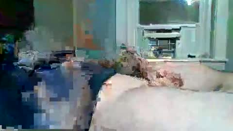 cervixpainter25 online show from November 2025 06:50:01 AM