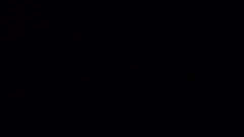 Iordan online show from December 2024 01:38:02 AM