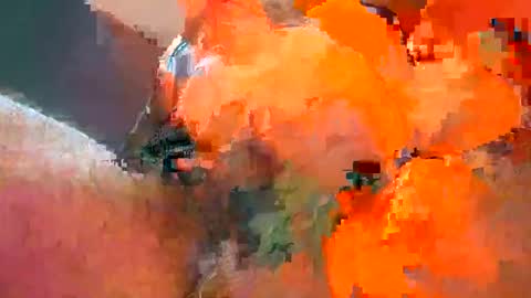 Iordan online show from February 2025 06:31:02 PM