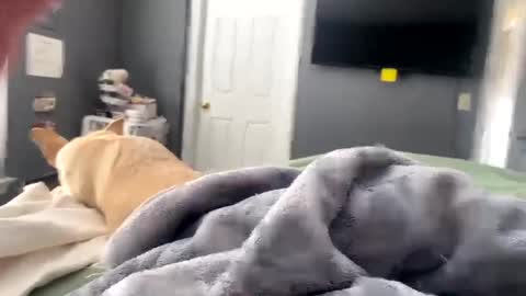 hardnthickm55 online show from January 2025 04:04:01 PM