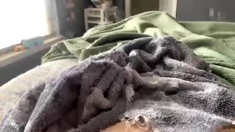 hardnthickm55 online show from February 2025 06:51:02 PM