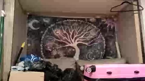 harlleymiller673 online show from October 2025 03:20:02 AM