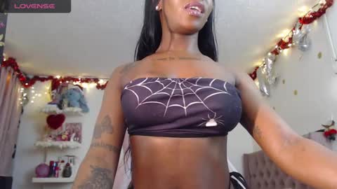 ig harmonie browns online show from January 2025 05:30:01 AM