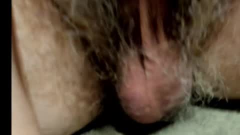 Snapshot of harry_banana chatting on February 2025 08:50:01 AM harry_banana online show from February 2025 08:50:01 AM