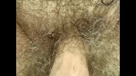 Snapshot of harry_banana chatting on September 2025 12:41:01 PM harry_banana online show from September 2025 12:41:01 PM