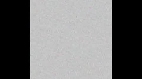 Hazel online show from October 2025 03:53:02 AM