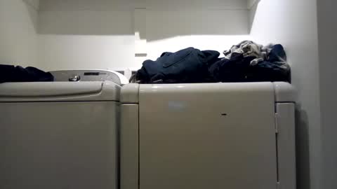 Snapshot of hdrsh08 chatting on December 2024 11:56:02 PM hdrsh08 online show from December 2024 11:56:02 PM