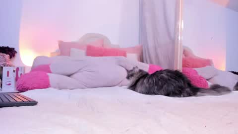 Snapshot of heidimountain chatting on September 2025 11:53:01 PM Anny Ferreiro online show from September 2025 11:53:01 PM