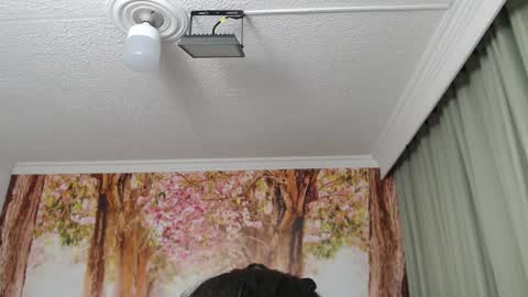 Hellen online show from December 2024 02:13:02 PM