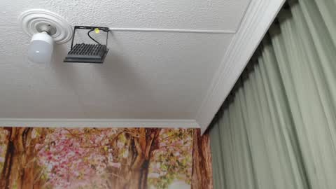 Hellen online show from January 2025 09:07:01 PM