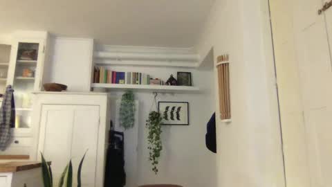 Lucas online show from January 2025 05:42:02 PM