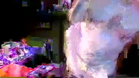 Snapshot of herb60657 chatting on November 2025 01:54:02 PM herb60657 online show from November 2025 01:54:02 PM