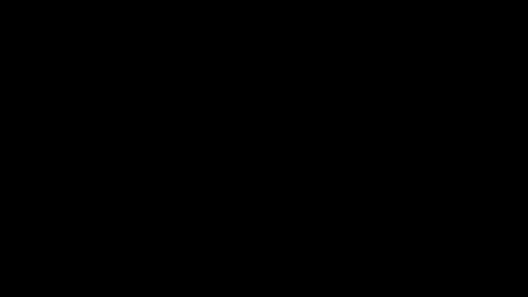 herkimer95 online show from January 2025 11:01:02 PM