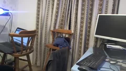 mature online show from December 2024 07:06:02 AM