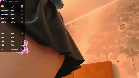 Snapshot of hiaru_cutie chatting on December 2024 08:47:01 AM Hiaru online show from December 2024 08:47:01 AM