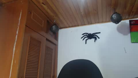 Snapshot of hilari18 chatting on October 2025 12:47:02 AM hilaril18 online show from October 2025 12:47:02 AM