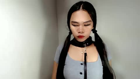 hollyhalo online show from November 2025 06:46:02 AM