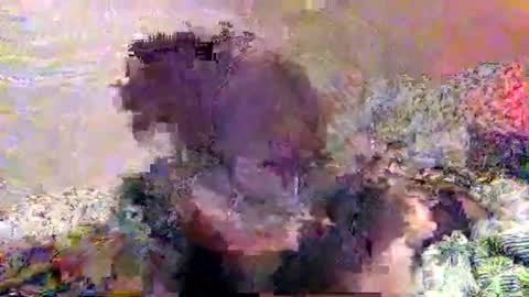 Snapshot of hometownwitch chatting on November 2025 06:19:01 PM hometownwitch online show from November 2025 06:19:01 PM