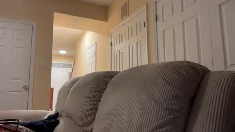 honey_man14 online show from December 2024 08:34:02 AM