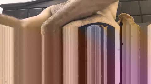 hornyboy_01z online show from September 2025 07:03:02 PM