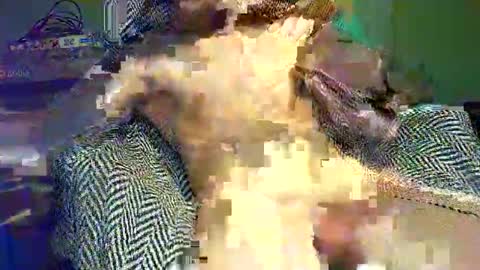 Snapshot of hornycocxxx chatting on March 2025 01:14:02 AM hornycocxxx online show from March 2025 01:14:02 AM