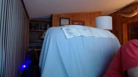 horsebigballs online show from November 2025 11:29:01 PM