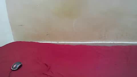 Snapshot of hotpussy1225 chatting on November 2025 08:13:01 AM hotpussy1225 online show from November 2025 08:13:01 AM