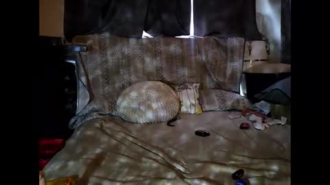 Snapshot of hotrox6942 chatting on September 2025 10:51:01 AM hotrox6942 online show from September 2025 10:51:01 AM