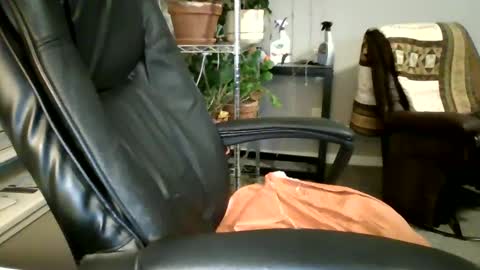 Hottop 1981 online show from March 2025 02:27:02 AM