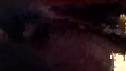houndmefromhell online show from December 2024 11:10:01 PM