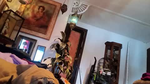 houndmefromhell online show from March 2025 09:59:02 PM