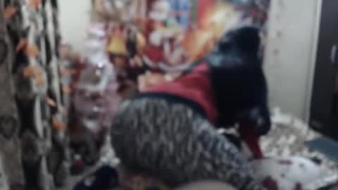 Snapshot of hugeassdevil chatting on January 2025 05:42:01 PM hugeassdevil online show from January 2025 05:42:01 PM