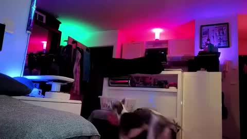 Snapshot of hugolandcam chatting on February 2025 08:41:01 PM Hugo online show from February 2025 08:41:01 PM