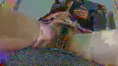 hujiajia520321431 online show from November 2025 11:53:02 AM