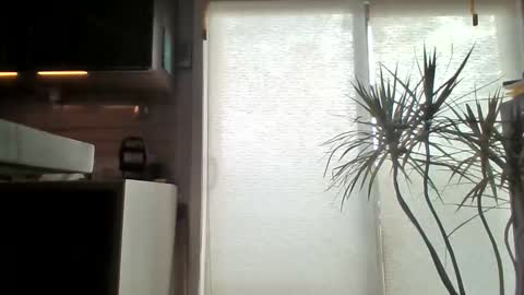 hungsilverfox69 online show from January 2025 08:44:01 PM