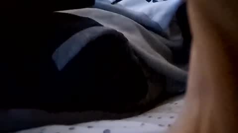 hungukguy777 online show from November 2025 12:21:01 AM