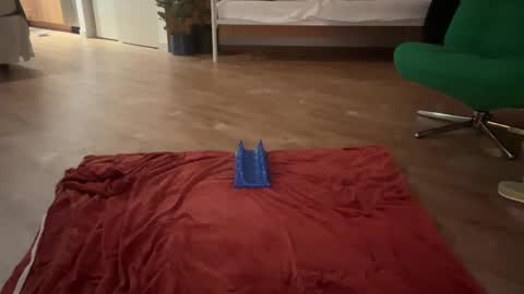 Olive online show from October 2025 05:41:01 AM