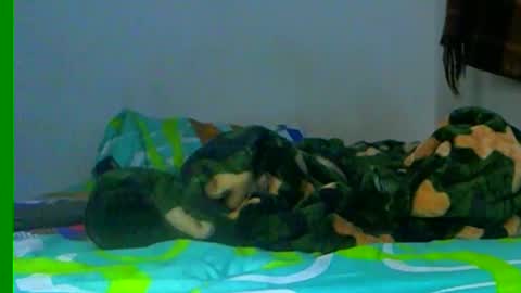 Samuel igsamuelnoguera 1333 online show from December 2024 02:33:02 AM