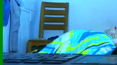 Samuel igsamuelnoguera 1333 online show from January 2025 03:27:02 AM