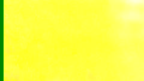 Samuel igsamuelnoguera 1333 online show from January 2025 05:44:02 PM