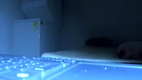 Samuel igsamuelnoguera 1333 online show from October 2025 06:52:01 PM