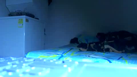 Samuel igsamuelnoguera 1333 online show from October 2025 04:09:02 AM