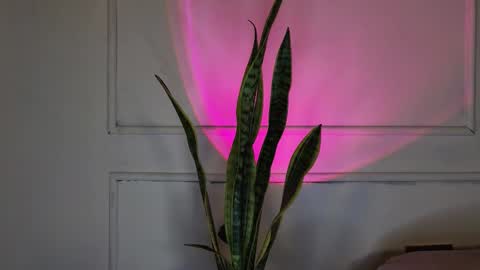 Crystall online show from October 2025 05:37:01 AM