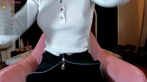 illegal_lorry online show from December 2024 04:30:02 AM
