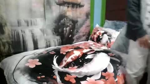 Snapshot of ilovebunny69 chatting on November 2025 02:55:02 AM ilovebunny69 online show from November 2025 02:55:02 AM