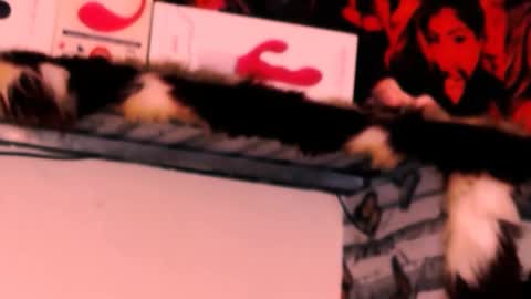 Snapshot of indian_dreamgirl chatting on November 2025 12:32:02 AM Bella Ambrosia online show from November 2025 12:32:02 AM