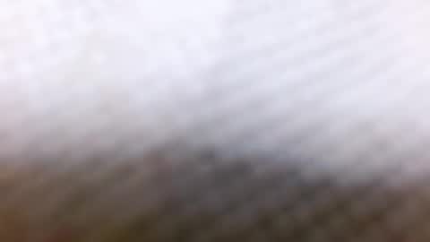 tracy online show from December 2024 08:58:02 AM