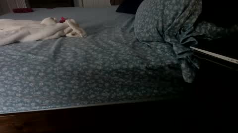 Snapshot of insatiablecpl333 chatting on January 2025 02:07:01 PM InsatiableCpl333 online show from January 2025 02:07:01 PM