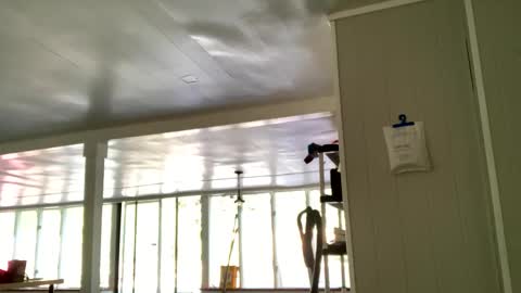 IntoTheWoodsWeGo online show from October 2025 02:06:01 PM